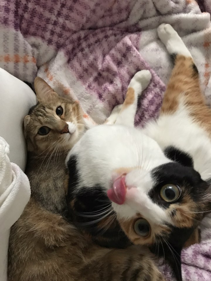 먹고, 즐기고, 떠나자! 