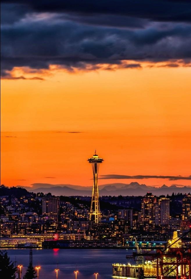 '요리스' 태그의 글 목록