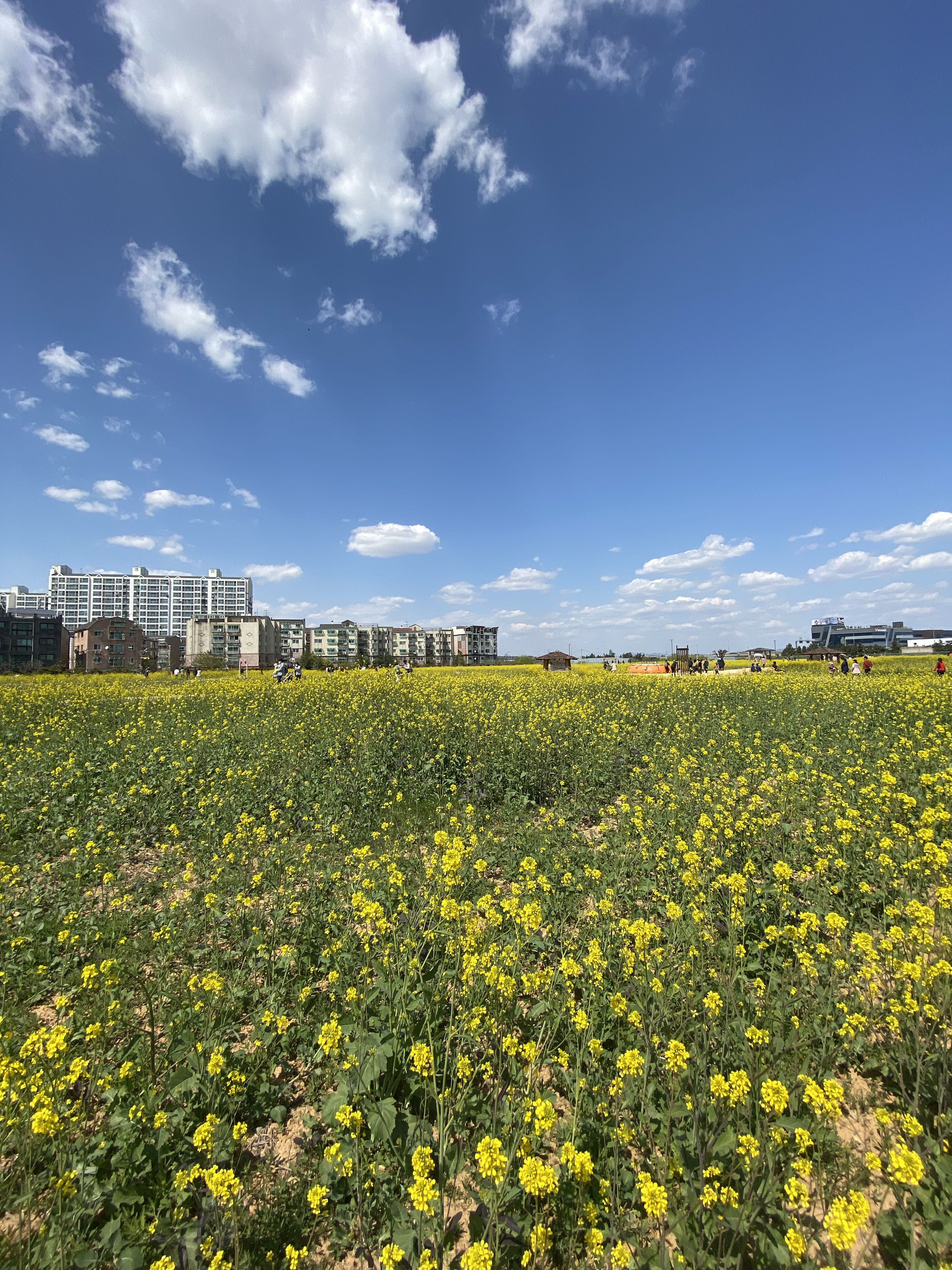 초등학생 파이썬 코딩 교재 추천