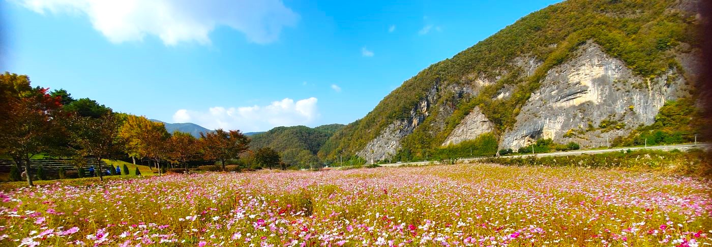 귀촌한 아낙네 사는 이야기^^ 기록을 위한 블로그