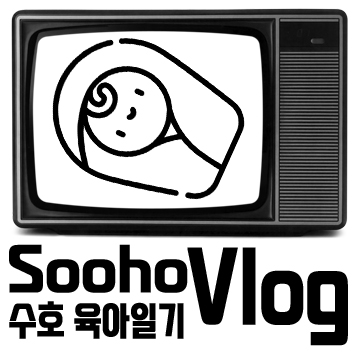 수호 브이로그