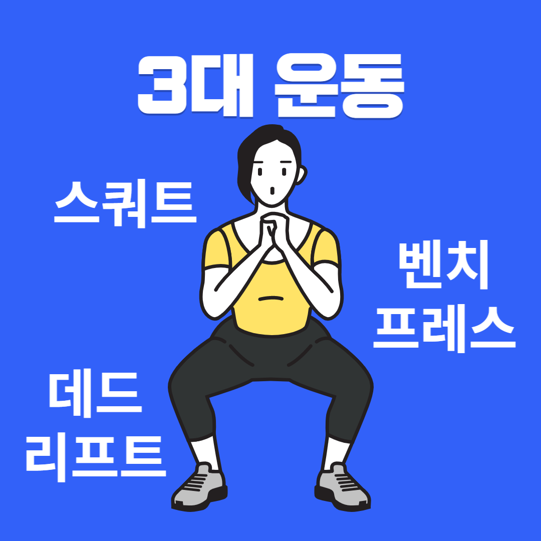 쿙큥과 함께 하는 운동