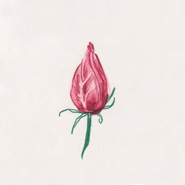 Flower lee 추억의 악보