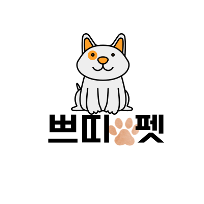 초보 반려인의 쁘띠펫 정복기